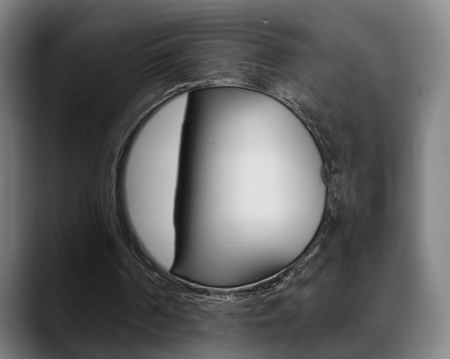 X0000089420194200706151009