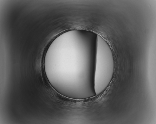X0000089420196200706151009