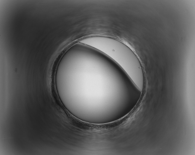 X0000089420199200706151009