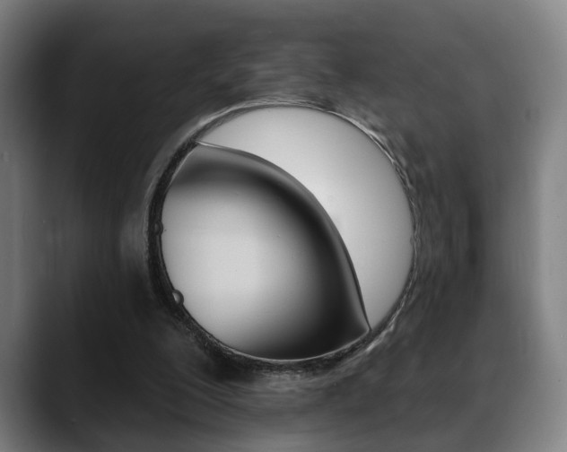 X0000089420200200706151009