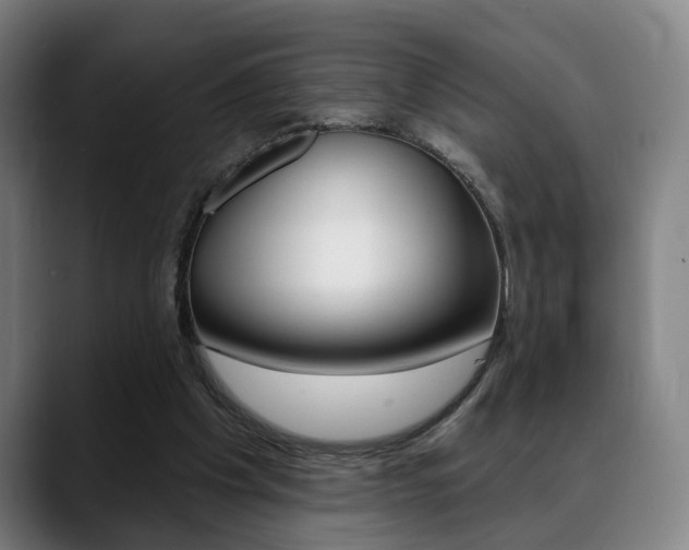 X0000089420201200706151009