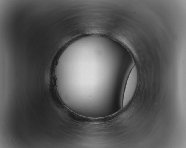 X0000089420204200706151009