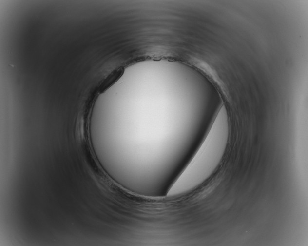 X0000089420205200706151009