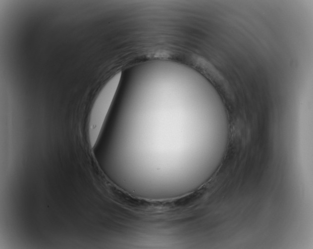 X0000089420209200706151009