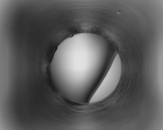 X0000089420225200706151009