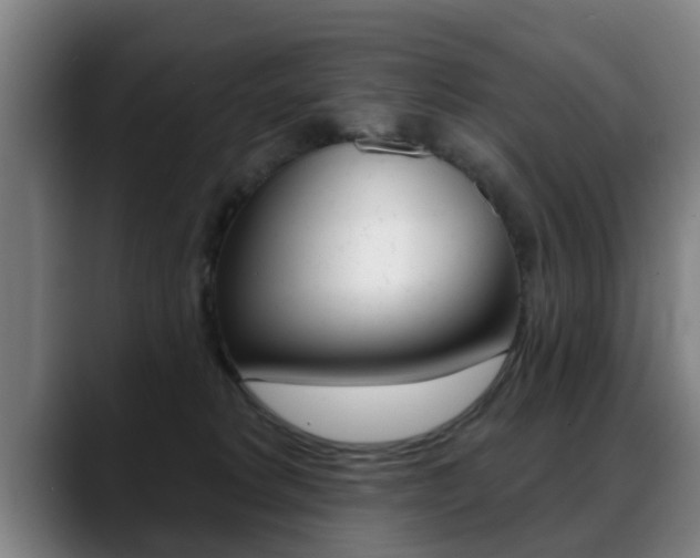 X0000089420229200706151009