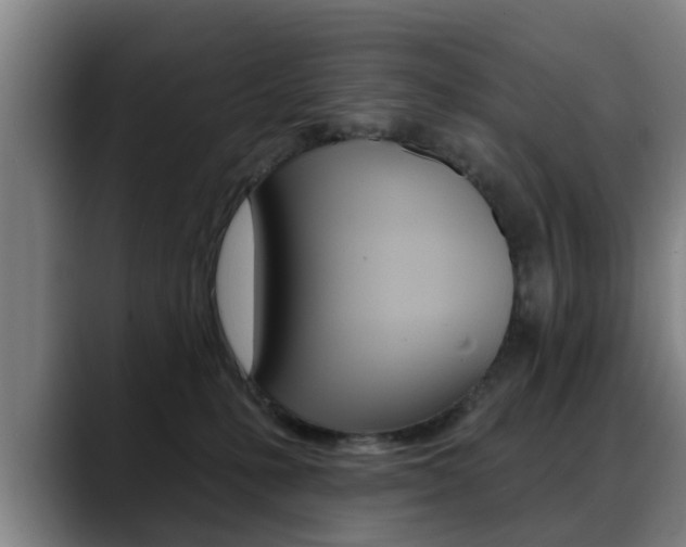 X0000089420231200706151009