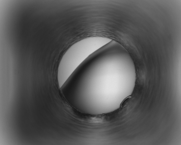 X0000089420232200706151009
