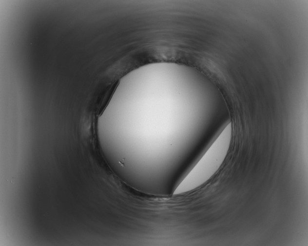 X0000089420233200706151009