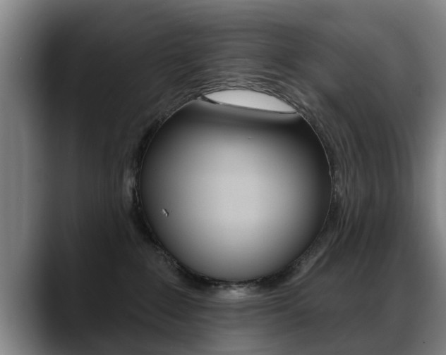 X0000089420235200706151009