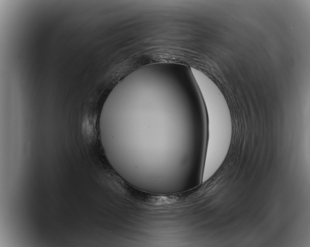 X0000089420239200706151009