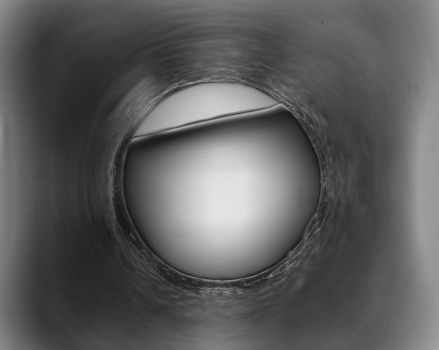 X0000089420242200706151008