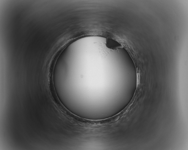 X0000089420243200706151008
