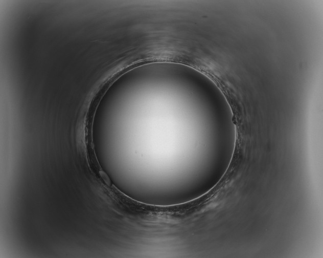 X0000089420244200706151008