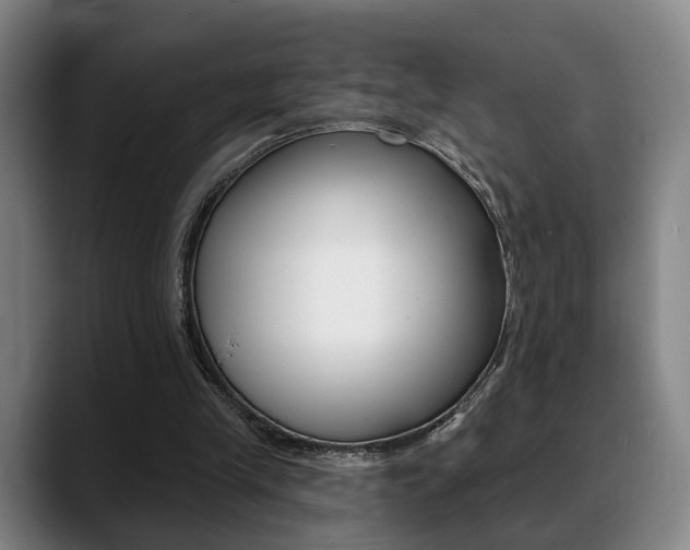 X0000089420245200706151008