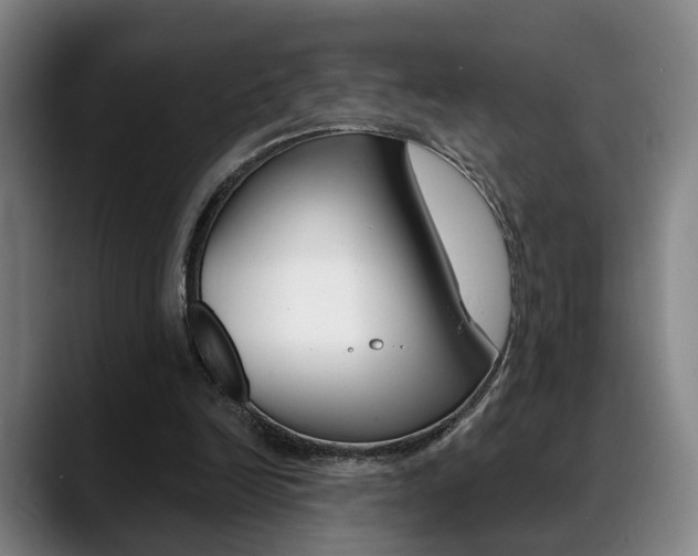 X0000089420246200706151008