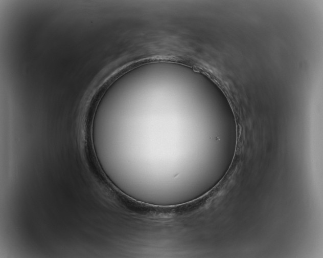 X0000089420247200706151008