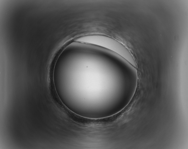 X0000089420248200706151008