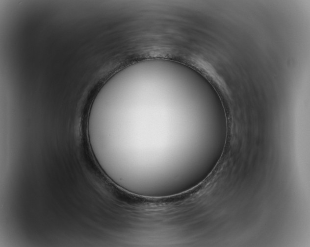 X0000089420250200706151008