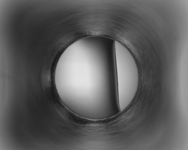 X0000089420251200706151008