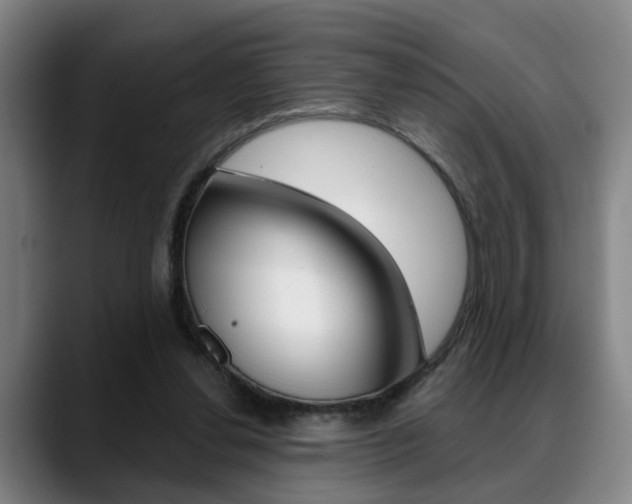 X0000089420252200706151009