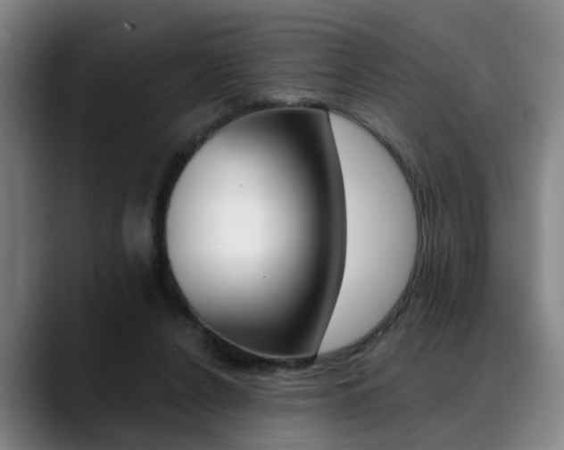 X0000089420256200706151009
