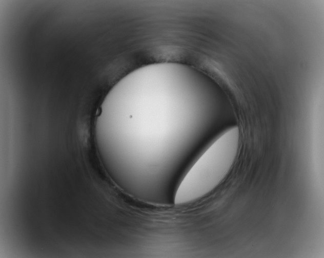 X0000089420259200706151009