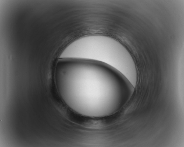 X0000089420260200706151009