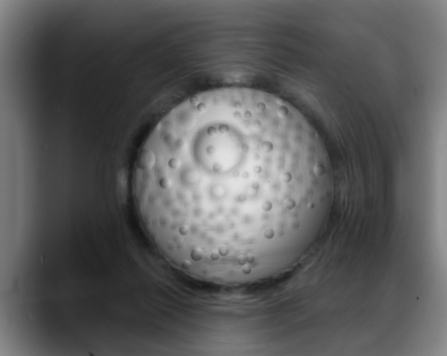 X0000089420262200706151009