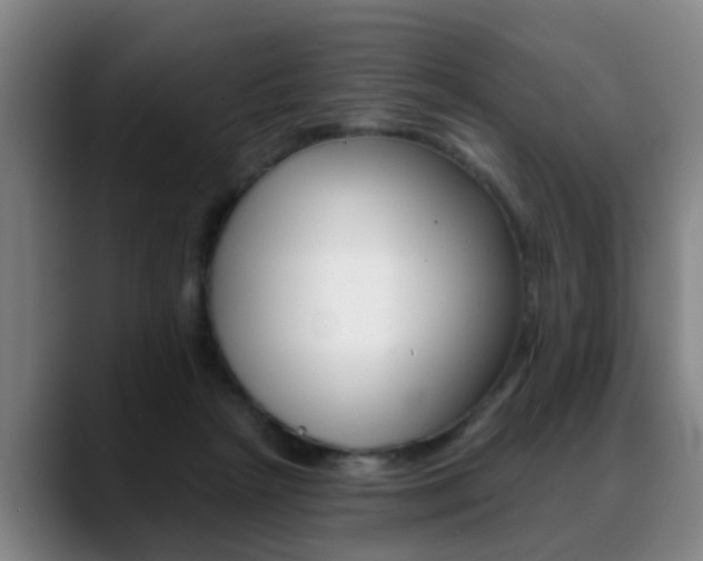X0000089420265200706151009