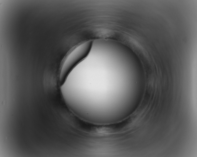 X0000089420268200706151009