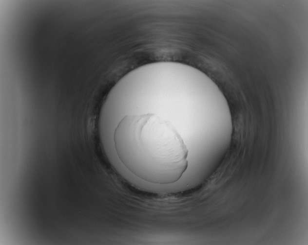 X0000089420278200706151009
