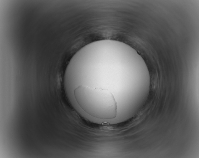 X0000089420279200706151009