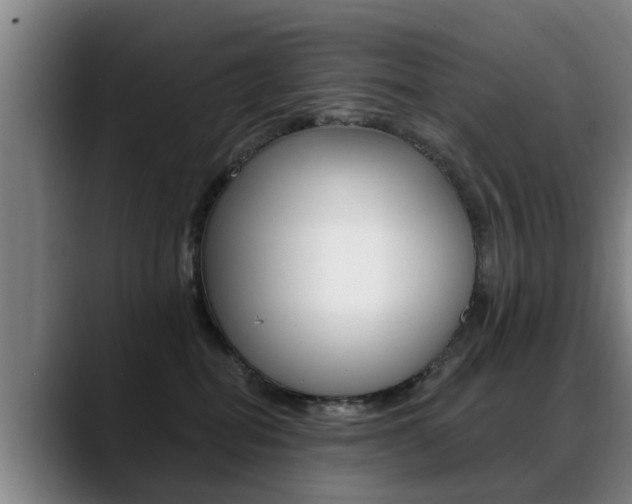 X0000089420282200706151009