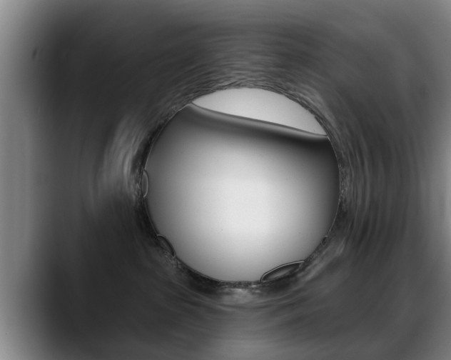 X0000089420285200706151009