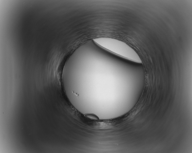 X0000089420286200706151009