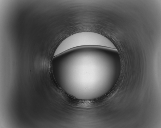 X0000089420288200706151009