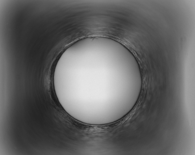 X0000089420290200706151008