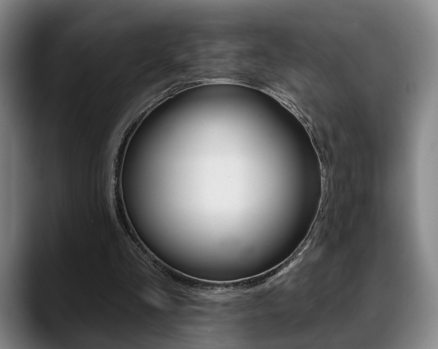 X0000089420293200706151008