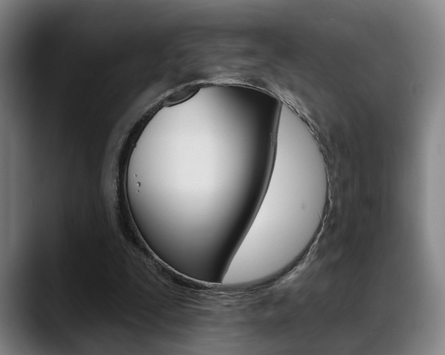 X0000089420295200706151008