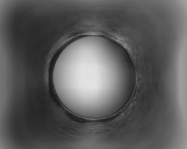 X0000089420296200706151008