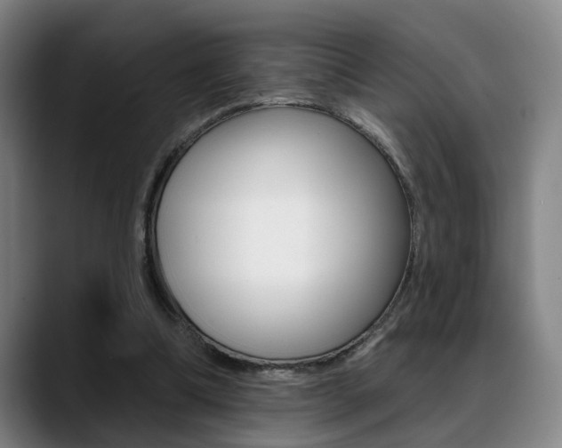 X0000089420298200706151008