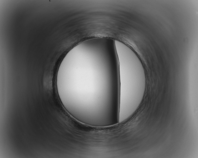 X0000089420299200706151008