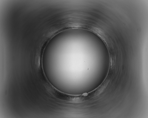X0000089420301200706151008