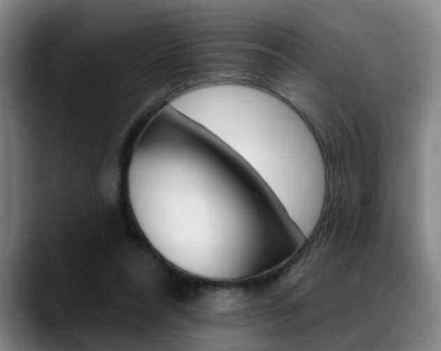X0000089420304200706151008