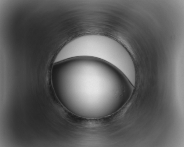 X0000089420305200706151008