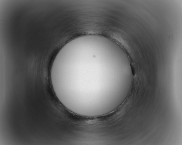 X0000089420306200706151008