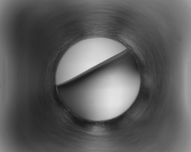 X0000089420308200706151008