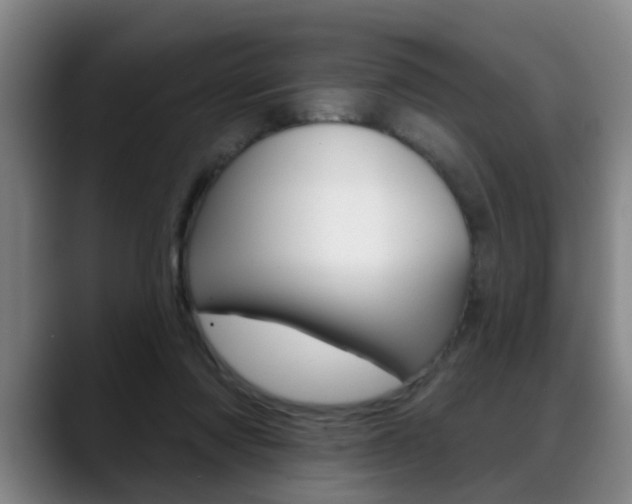 X0000089420310200706151008