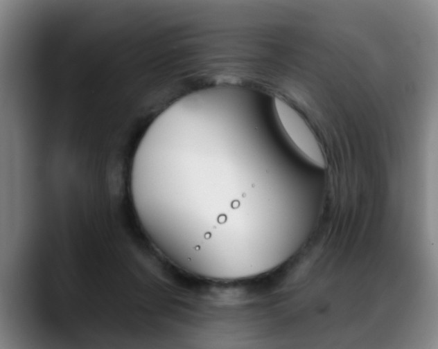 X0000089420311200706151008